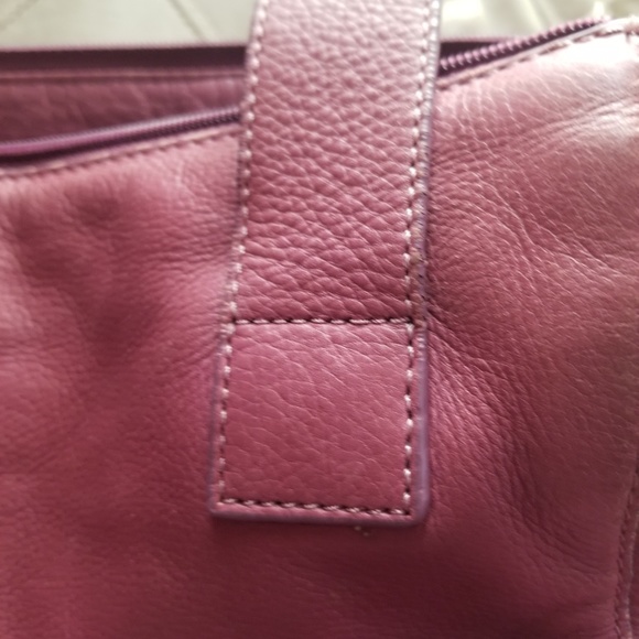 Pink Fossil - Picture 7 of 8